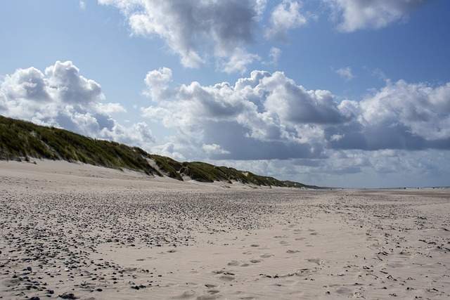 Drug and Alcohol Rehab Hamilton