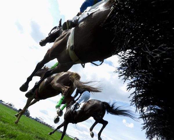 The link between alcoholism and horse racing