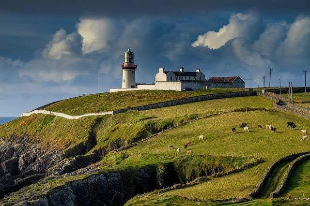 Drug and Alcohol Rehab Ireland