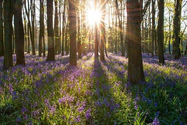 drug and alcohol rehab borehamwood