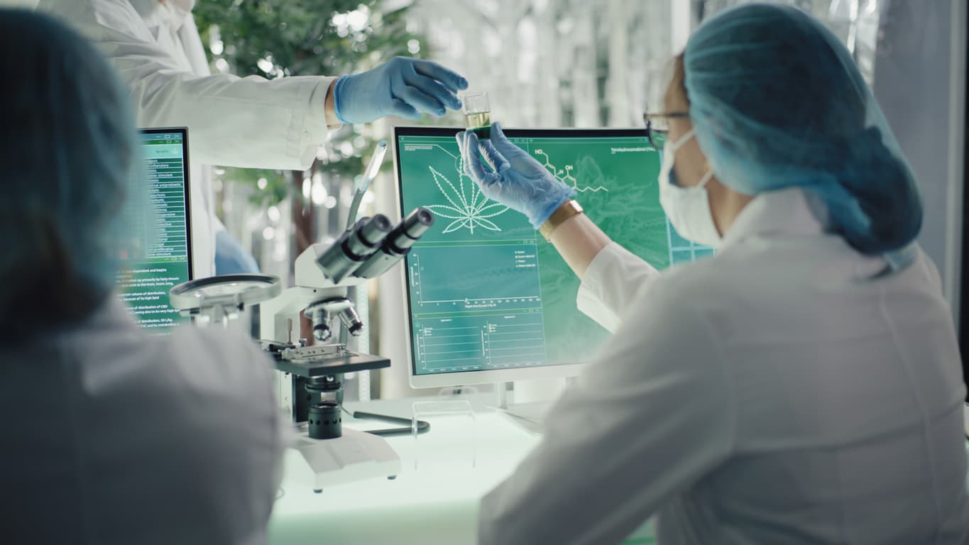 What is a Cannabinoid?