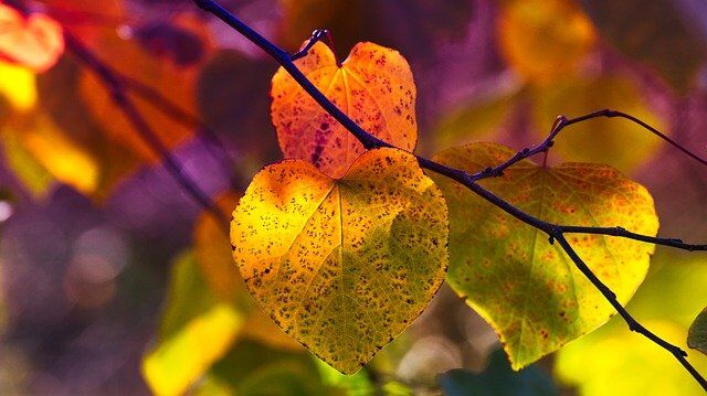 Drug and Alcohol Rehab Ealing
