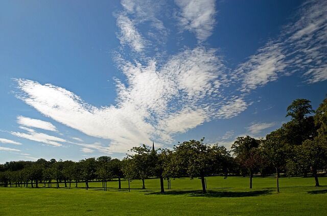 Drug and Alcohol Rehab Irvine