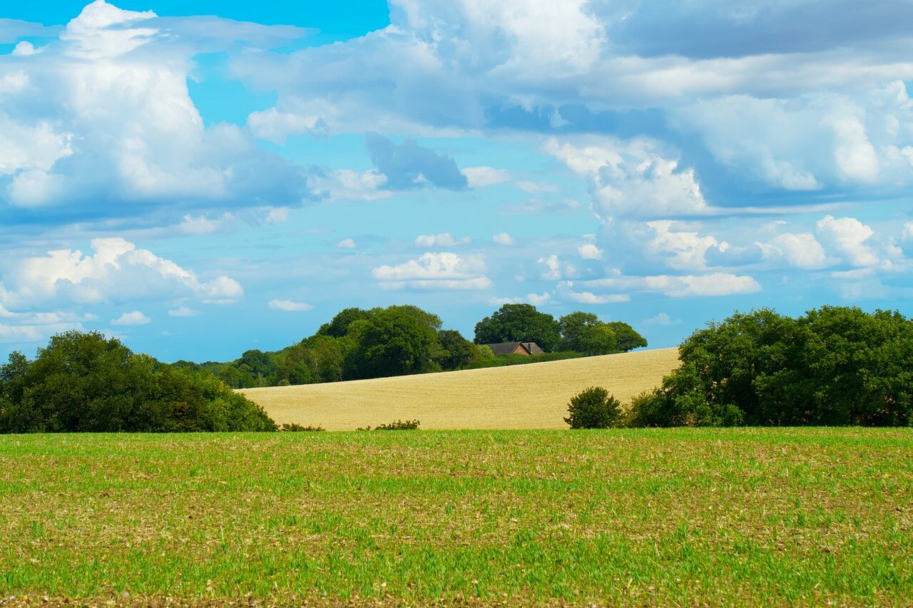 Drug and Alcohol Rehab Wheathampstead