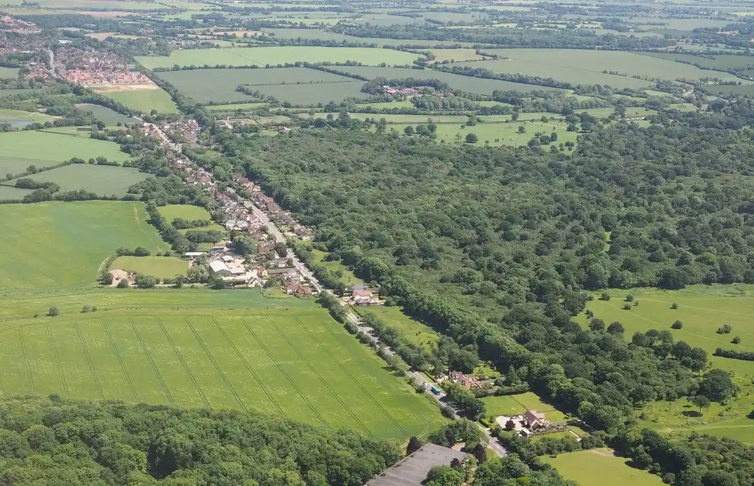Fields in Hatfield