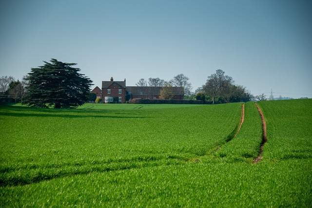 Drug and Alcohol Rehab West Bromwich