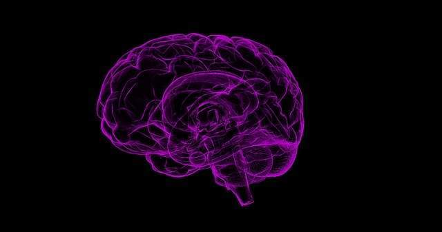 Attaching Electrodes to the Brain: Is This Be The Cure to Alcoholism?