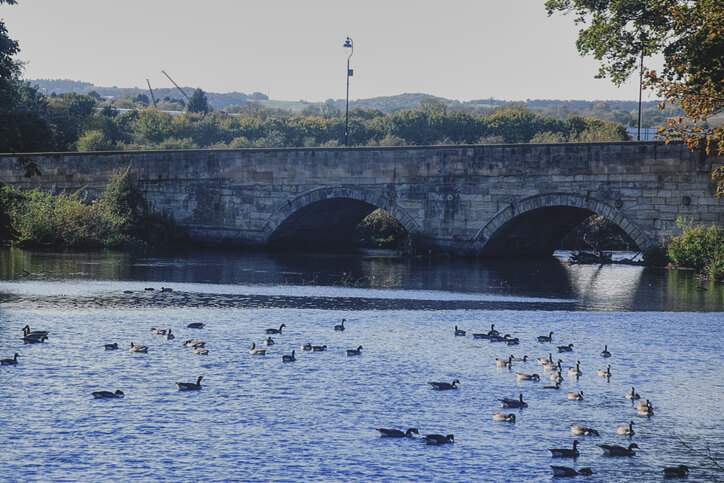 Drug and Alcohol Rehab Tamworth