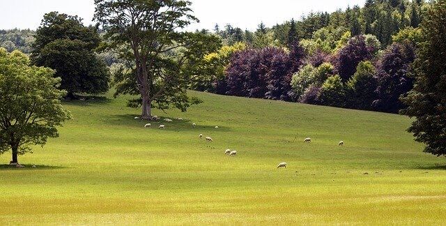Drug and Alcohol Rehab West Sussex
