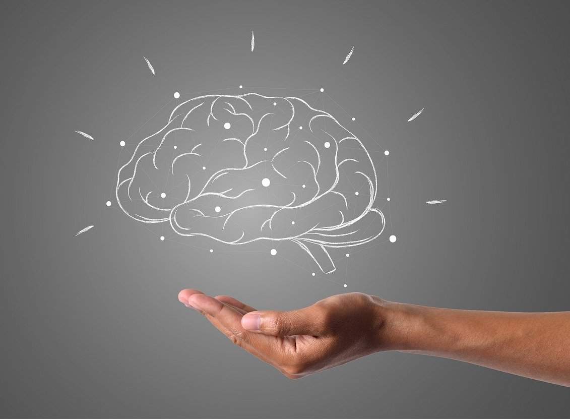 How Does Cocaine Affect the Brain?