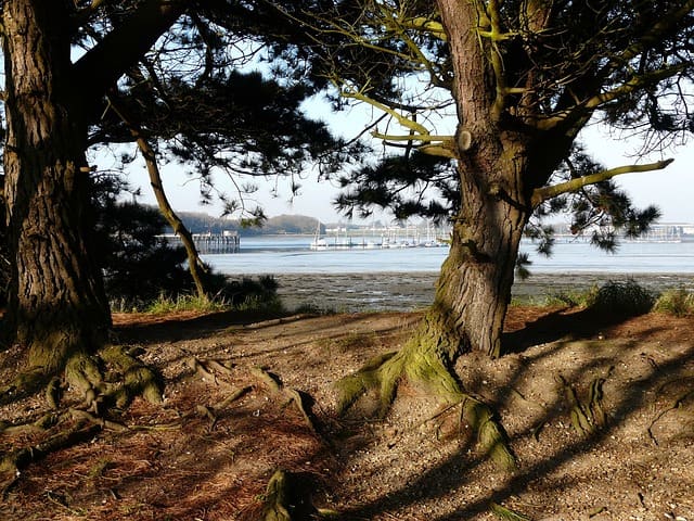Drug and Alcohol Rehab Farnham