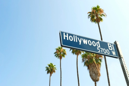 5 Celebrities in Recovery From Alcoholism