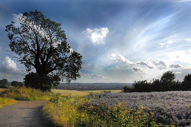 Drug and Alcohol Rehab Luton