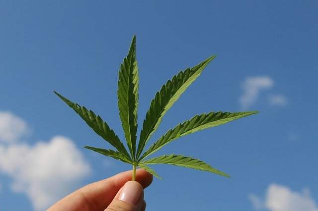 What Impact Does Cannabis Use Have On Cognitive Function?