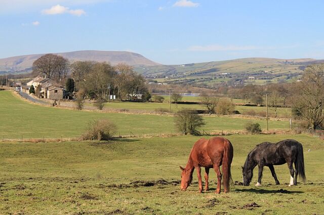 Drug and Alcohol Rehab Colne