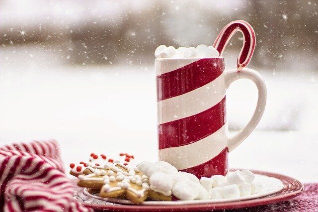 Christmas in Rehab – What to expect?