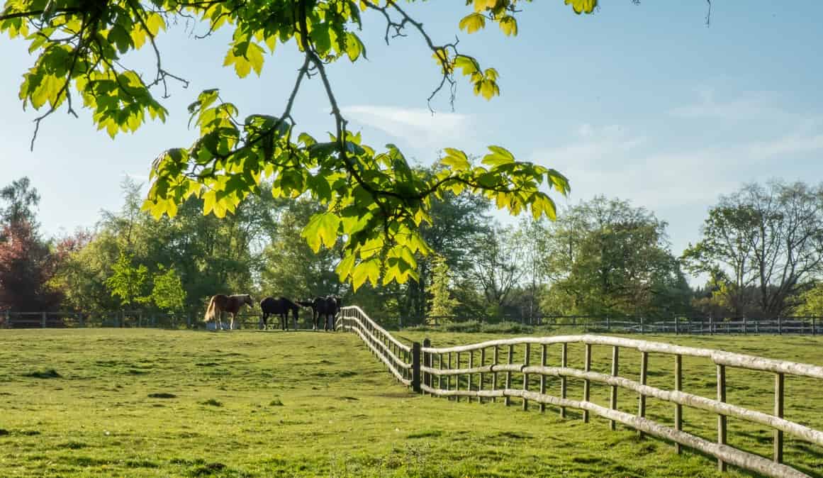 Countryside