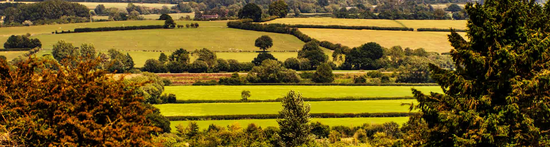 green hills in Drug And Alcohol Rehab Warwickshire