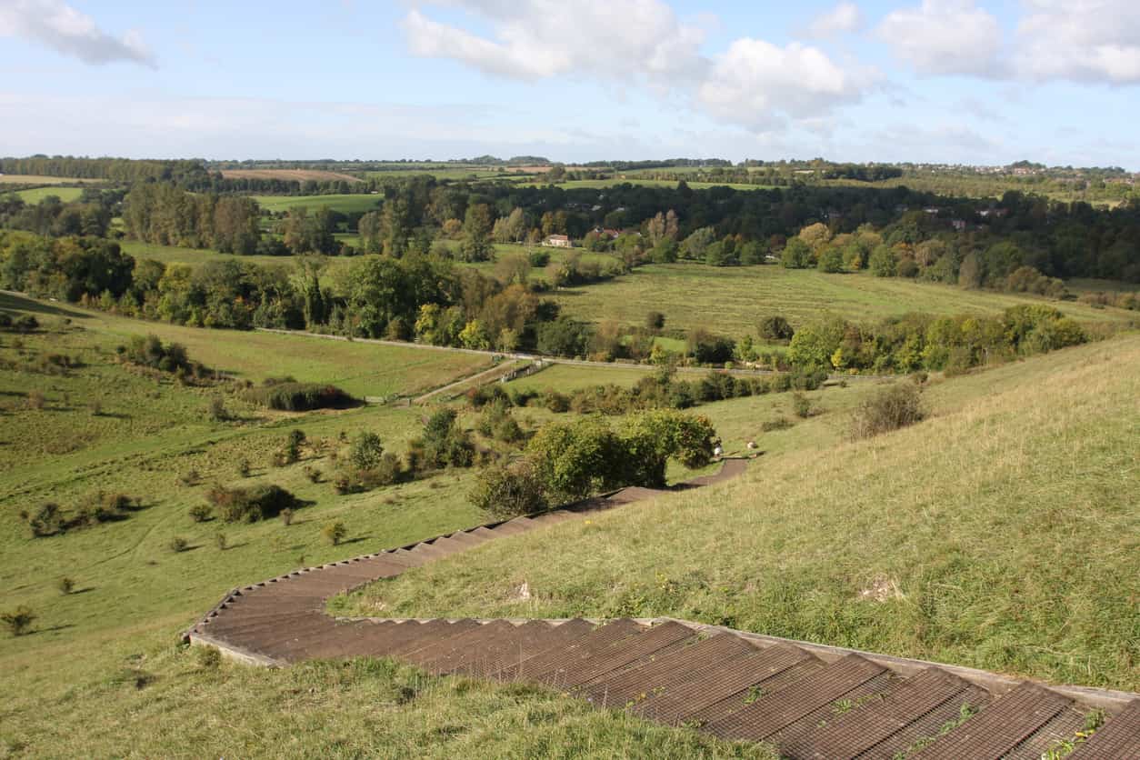 Wooden steps curving into the green hilly landscape