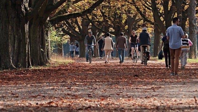 Drug and Alcohol Rehab Chiswick