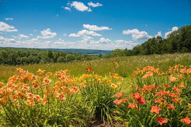 Drug and Alcohol Rehab Worcester