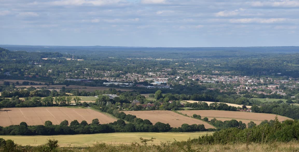 Fields in Petersfield