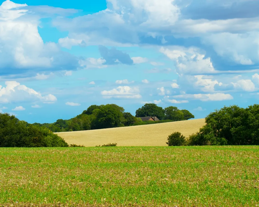 Drug and Alcohol Rehab Wheathampstead